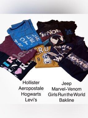 Tee Shirt Lot 8 Small Adult, Teen, Hogwarts, Jeep, Hollister, Levi’s, More